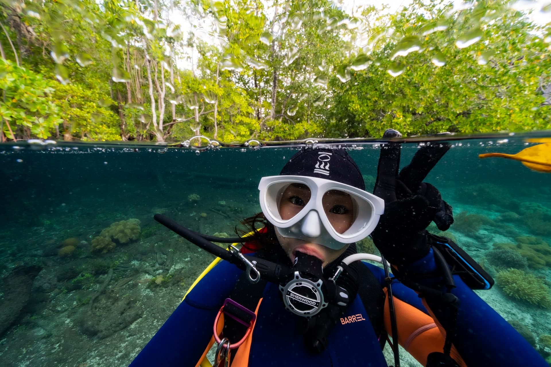 바다 생물과의 만남 - 리프 피시와 교감