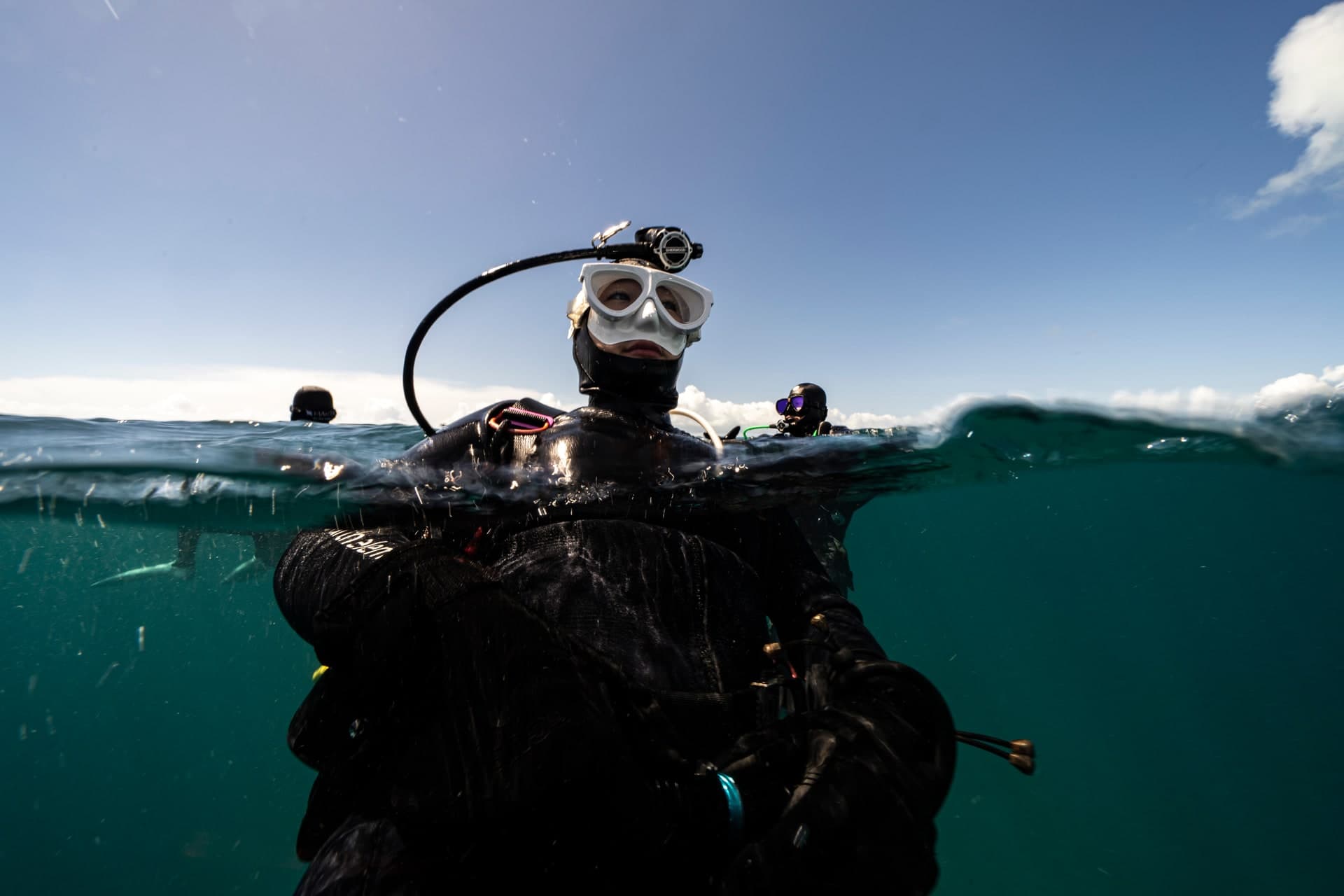 다이버 팀 사진