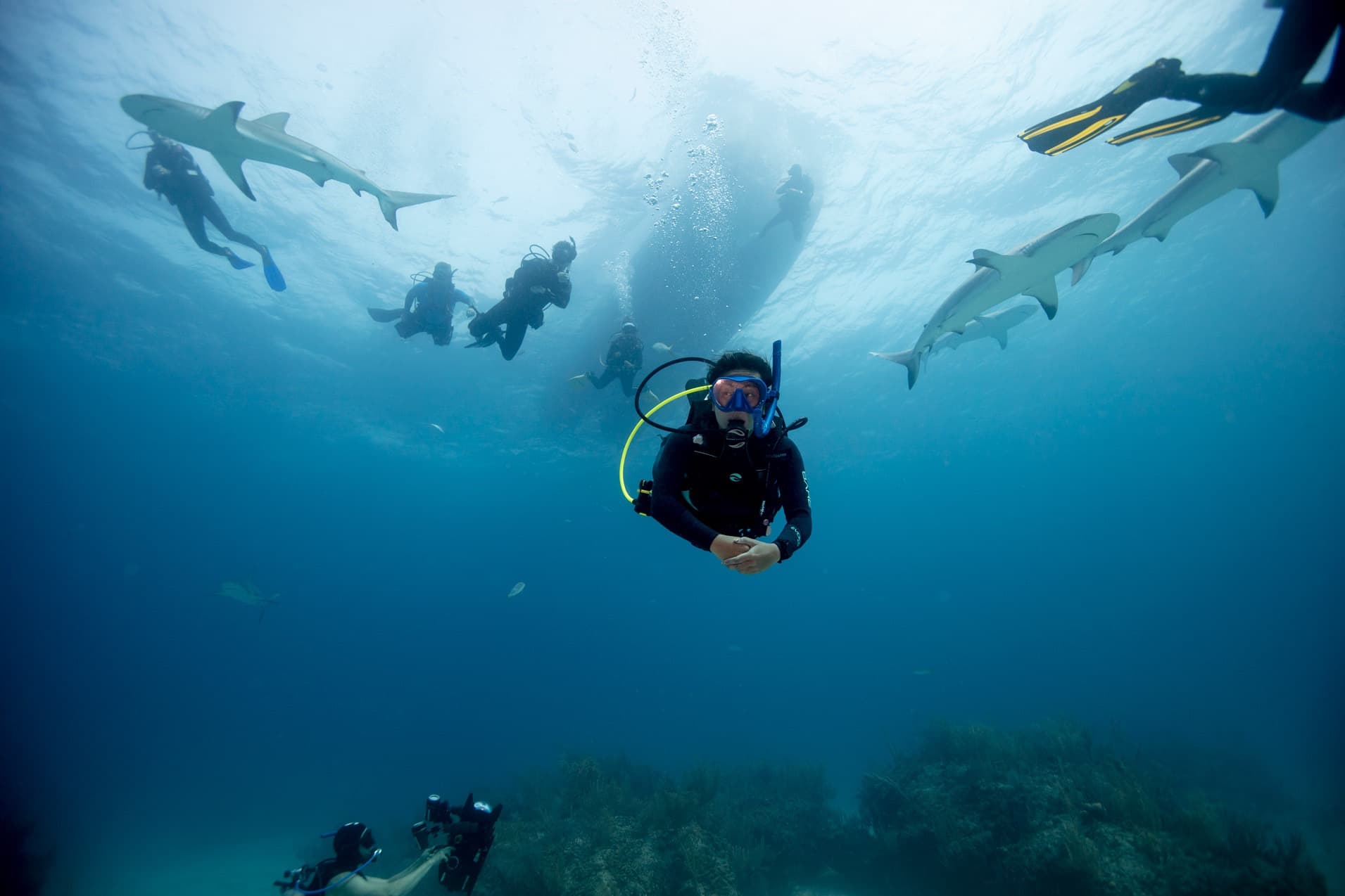 어드밴스드 - 고급 다이빙 기술