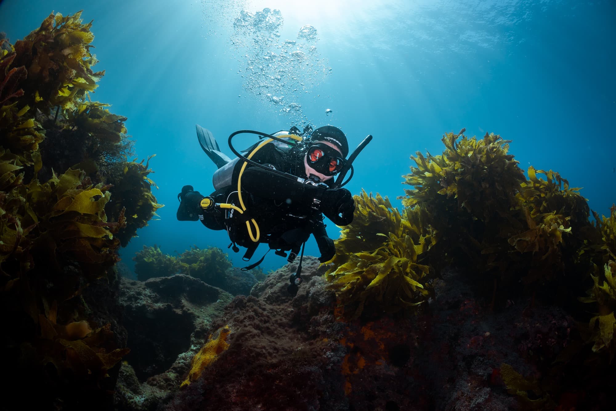 오픈워터 - 기초 다이빙 교육