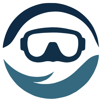 Dynamic Seoul Logo