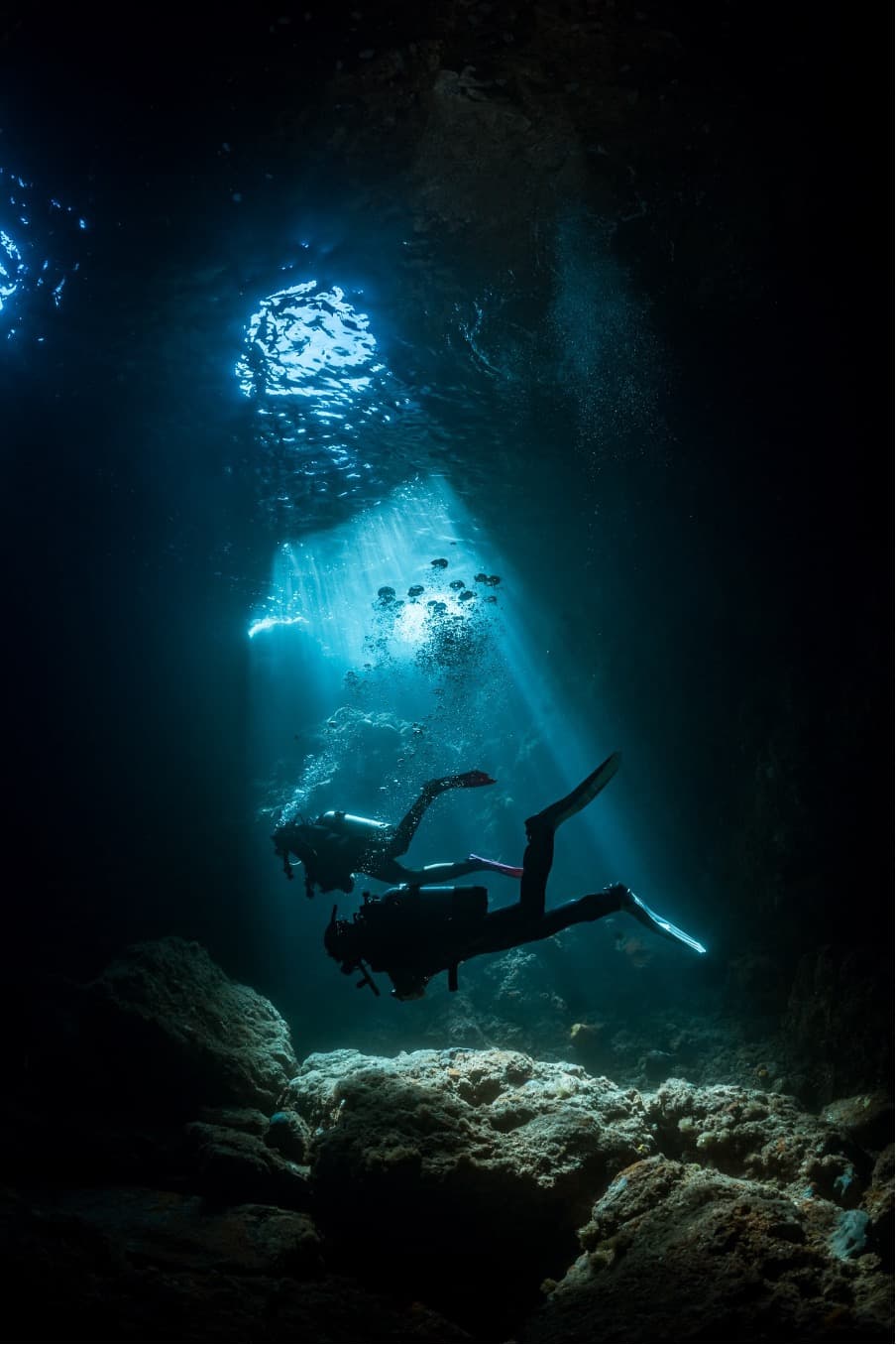 30. 캐번 다이버 (Cavern Diver)