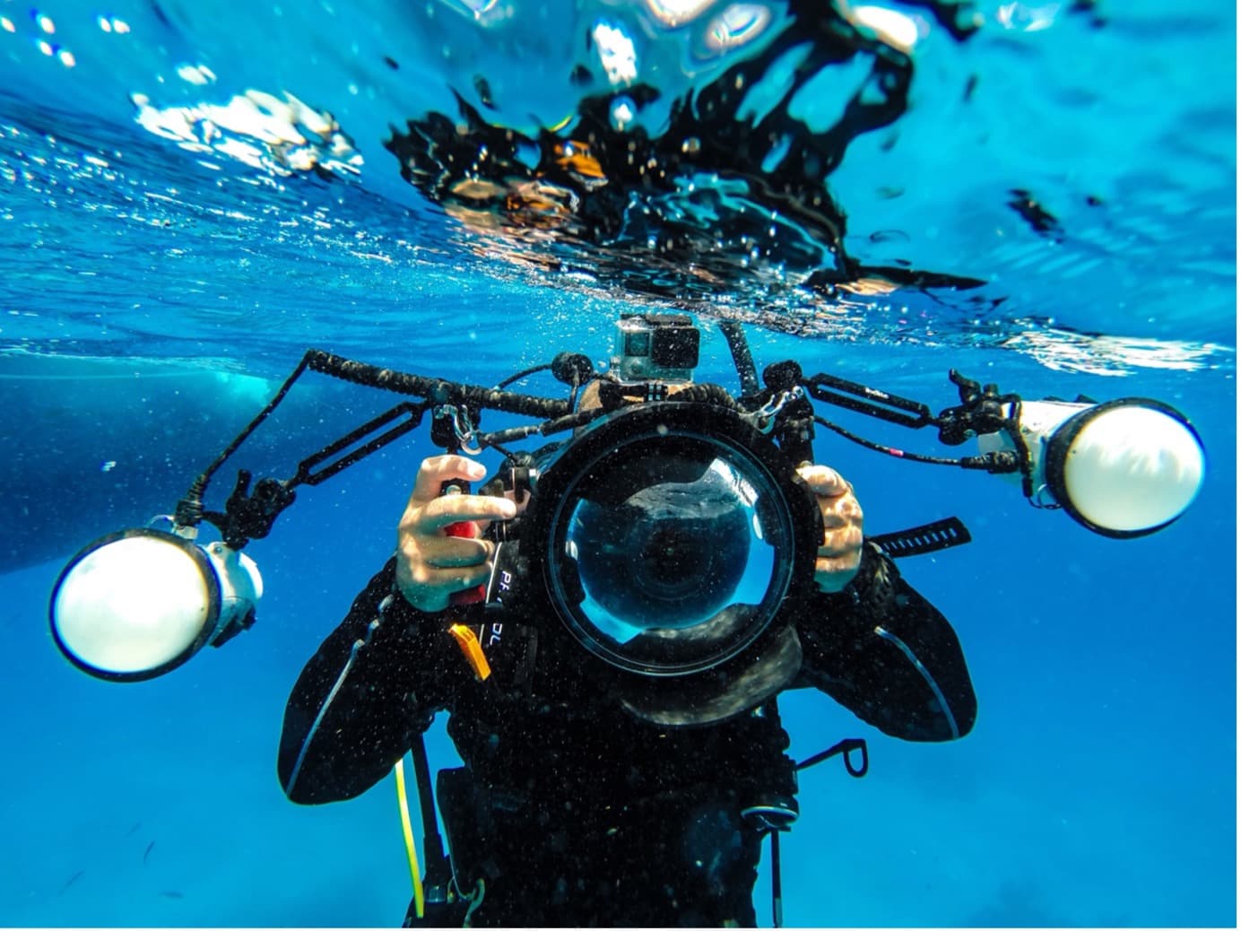21. 디지털 수중 포토그래퍼 (Digital Underwater Photographer)