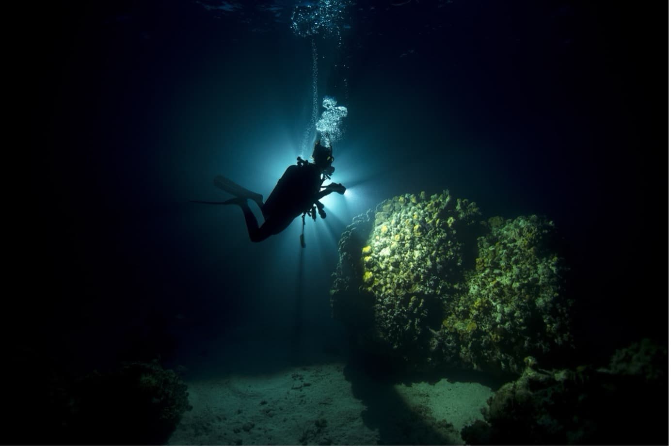 25. 나이트 다이버 (Night Diver)