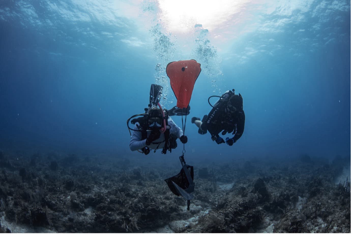 28. 수색과 인양 다이버 (Search and Recovery Diver)