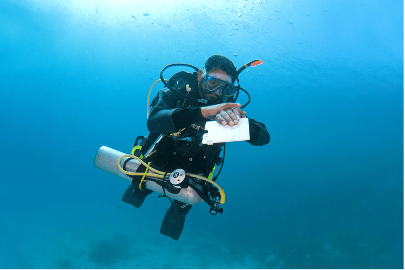 22. 셀프 릴라이언트 다이버 (Self-Reliant Diver)