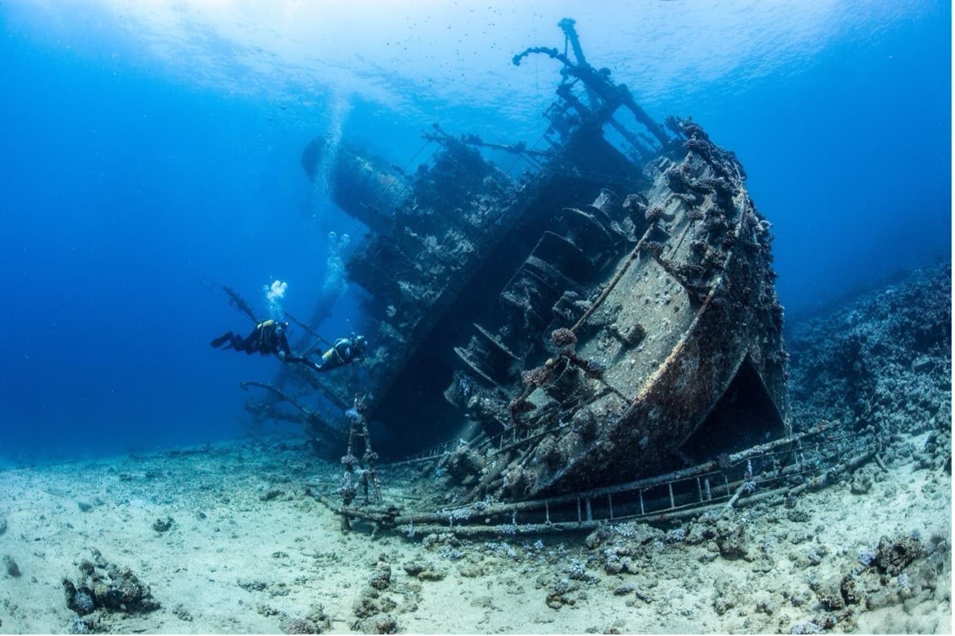 27. 난파선 다이버 (Wreck Diver)