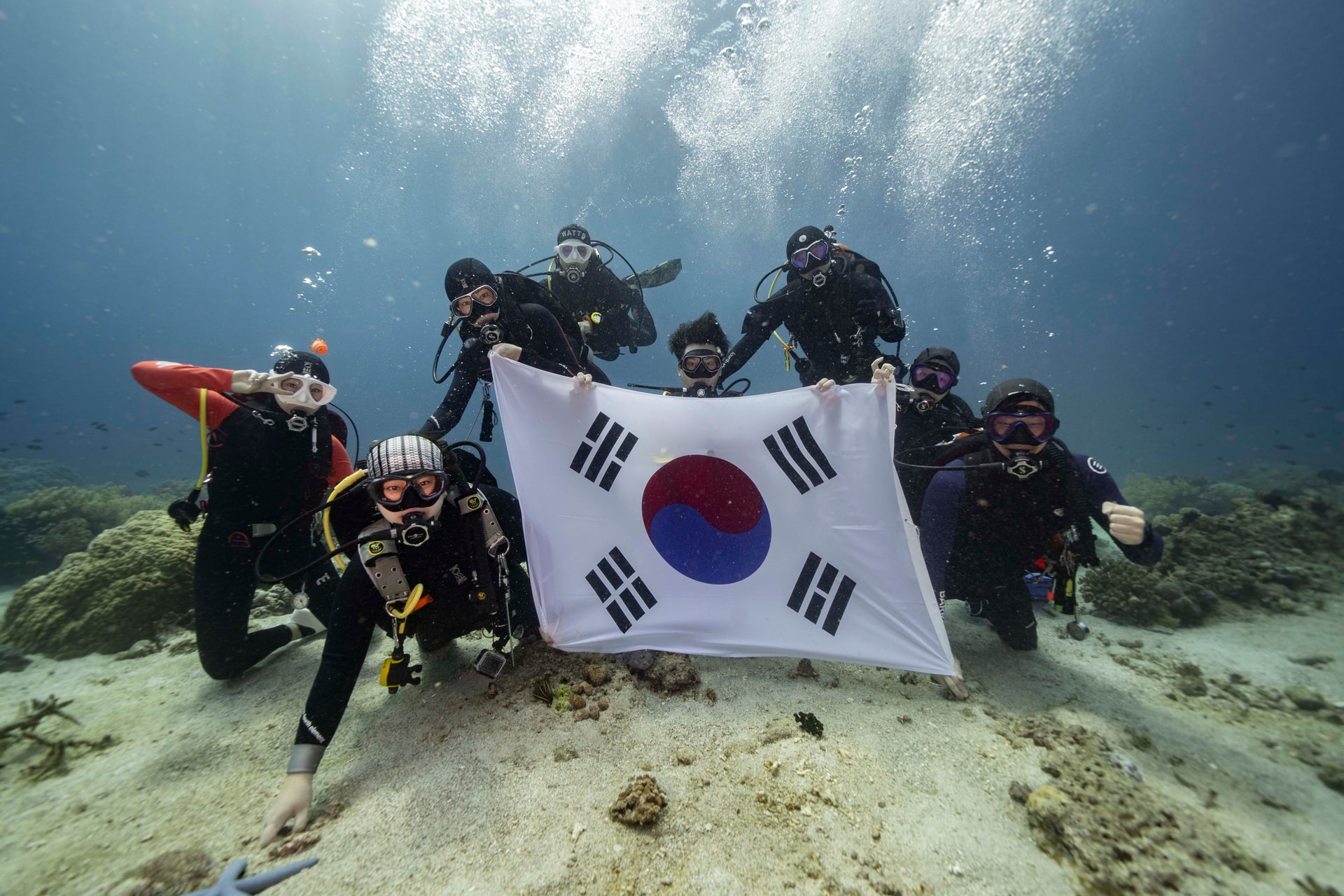다이빙 갤러리 이미지 0009