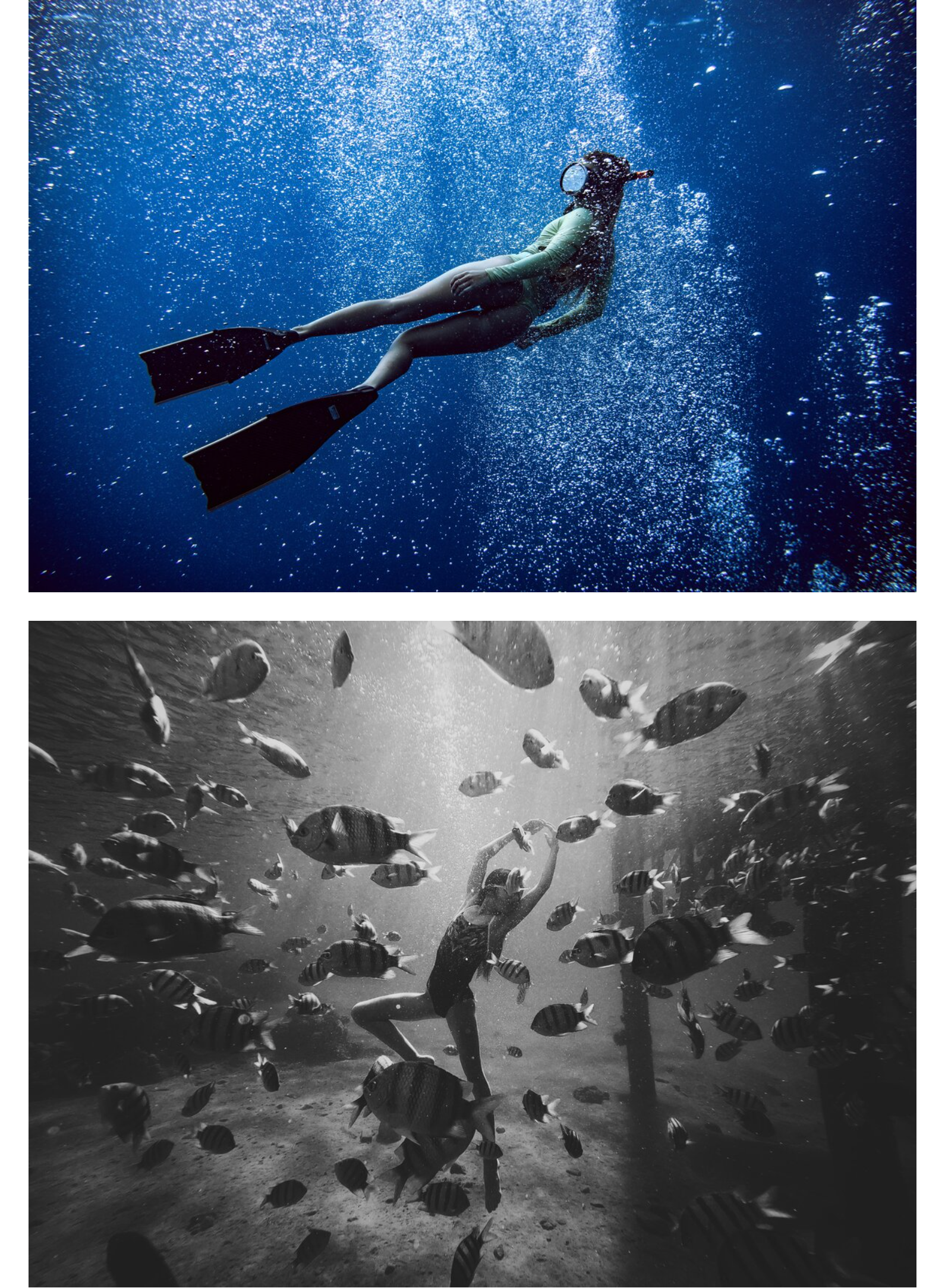 Freediving Instructor Gallery Season