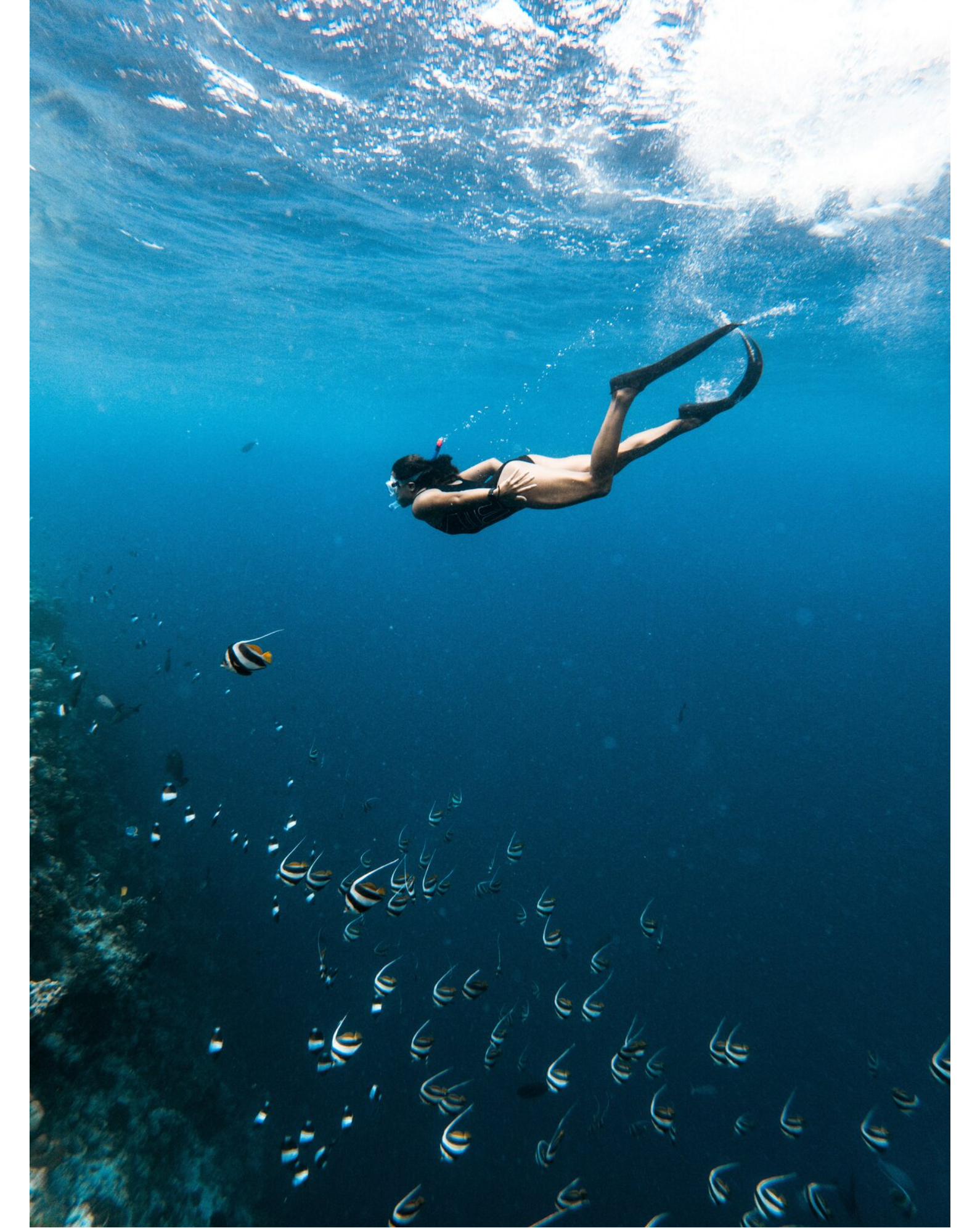 Freediving Instructor Gallery Inclusive