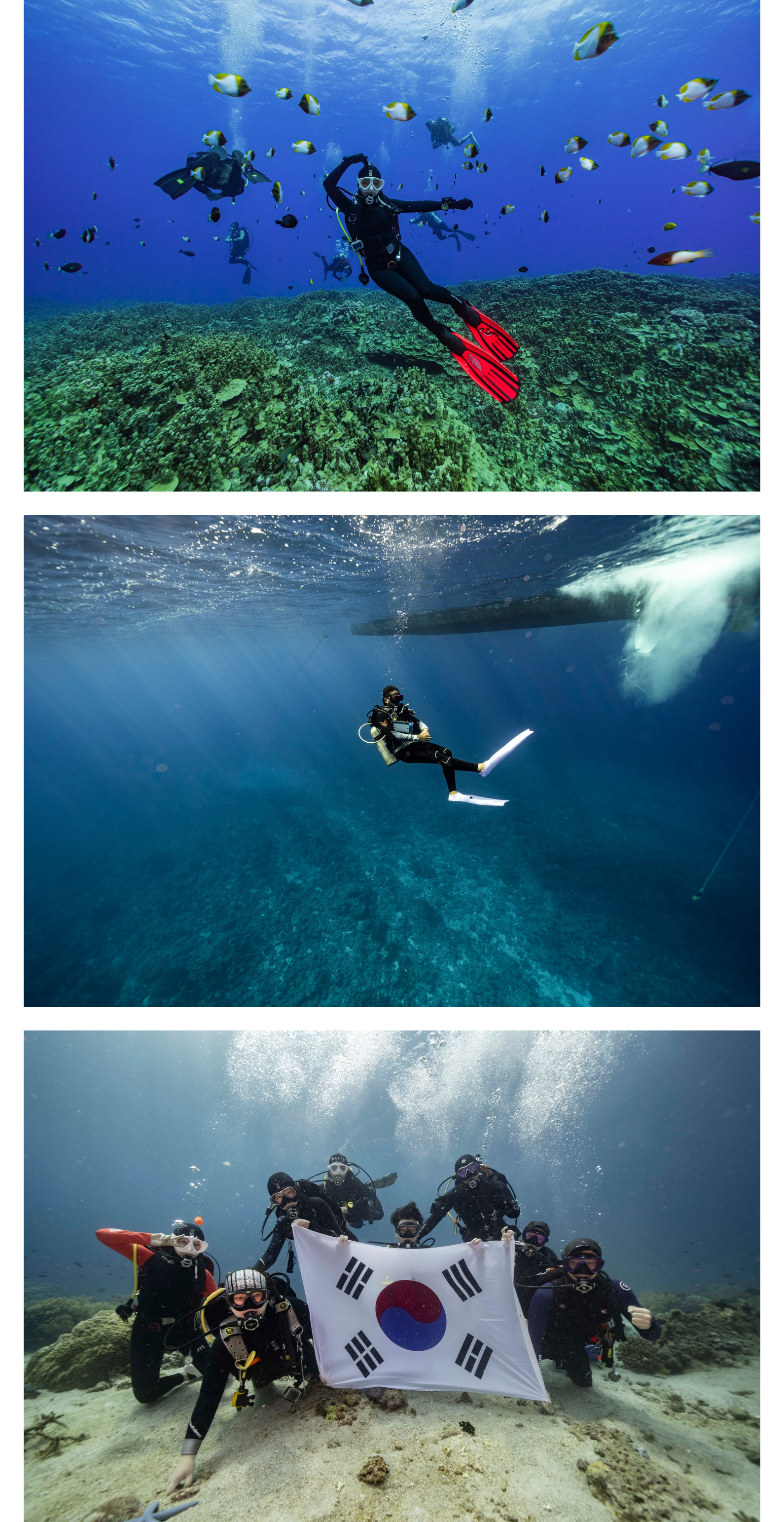 Gallery After All Inclusive