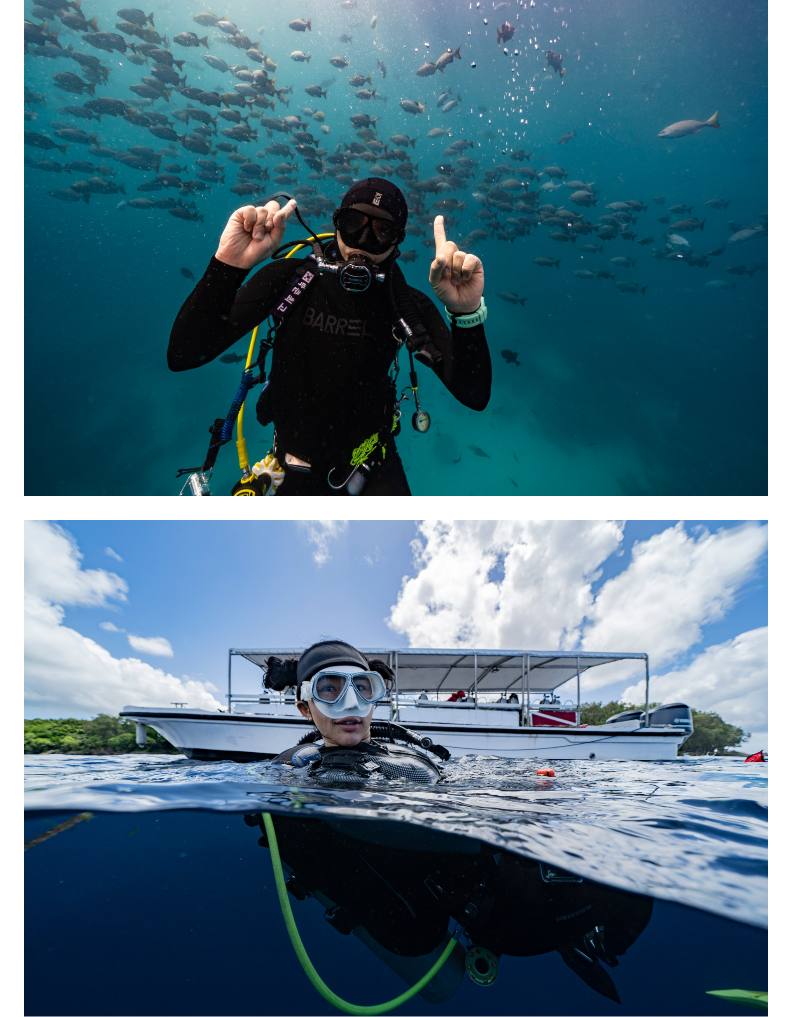 Gallery After PADI