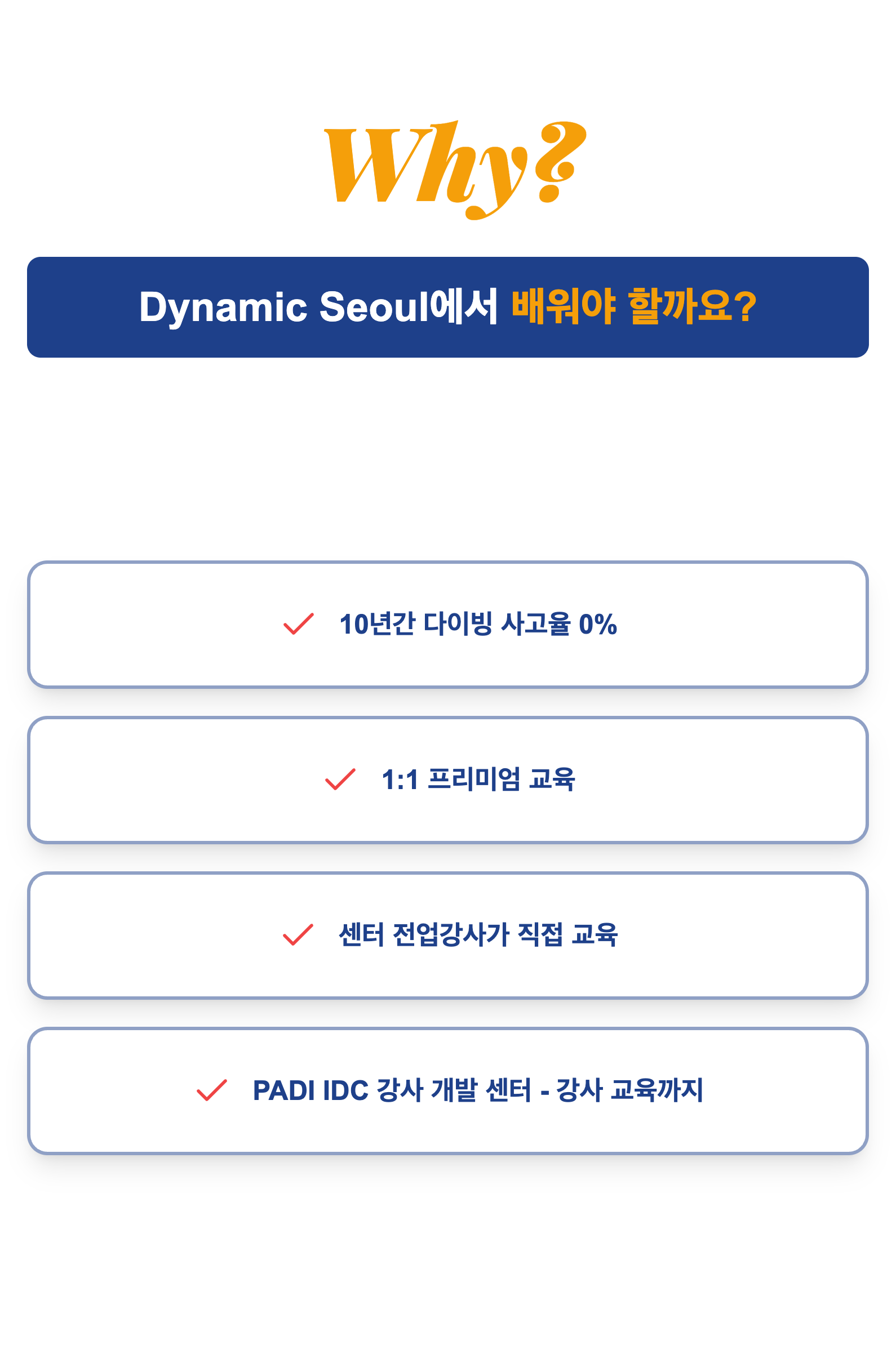 Why Dynamic Seoul
